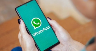 Cara Melihat Chat WhatsApp Terhapus tanpa aplikasi