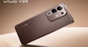 Vivo Y29 4G